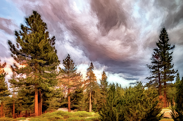 Swirling Sky by Maria Coulson Swirling Sky by Maria Coulson